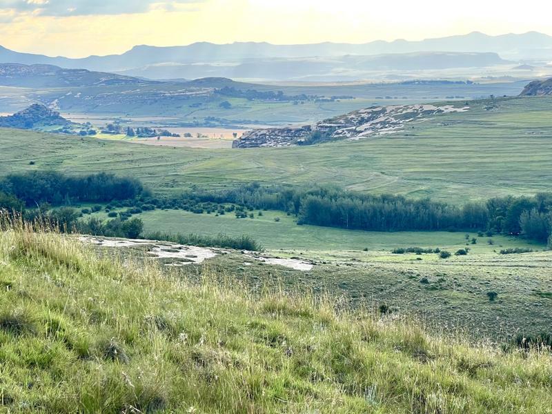 0 Bedroom Property for Sale in Fouriesburg Free State